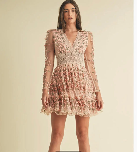 Embroidered Mini Dress