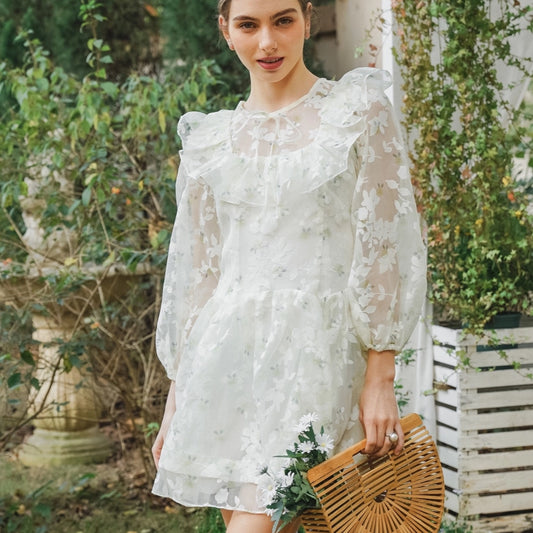 Sheer Floral Embroidered Ruffle Mini Dress