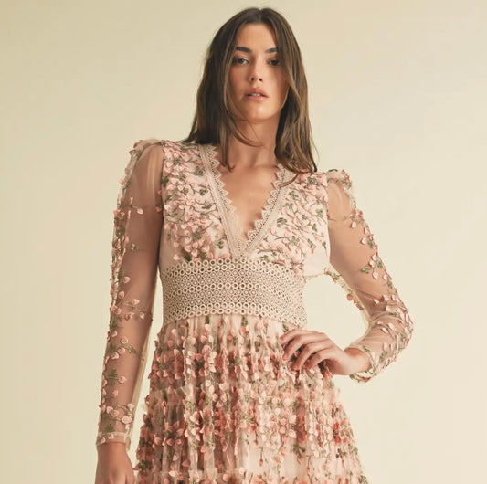 Embroidered Mini Dress